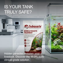 Load image into Gallery viewer, Worm & Parasite Control for Aquariums 99.9% Pure Levamisole Powder